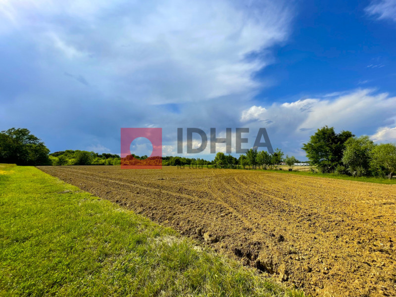 TREVISO ZONA GHIRADA 

L'agenzia immobiliare Idhea ha il piacere di proporvi questo terreno agric...