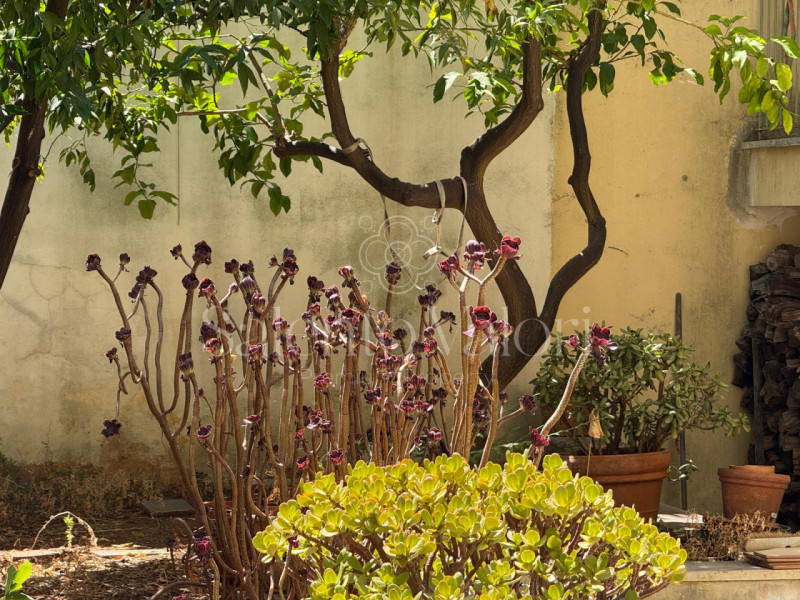 Casa singola a Parabita