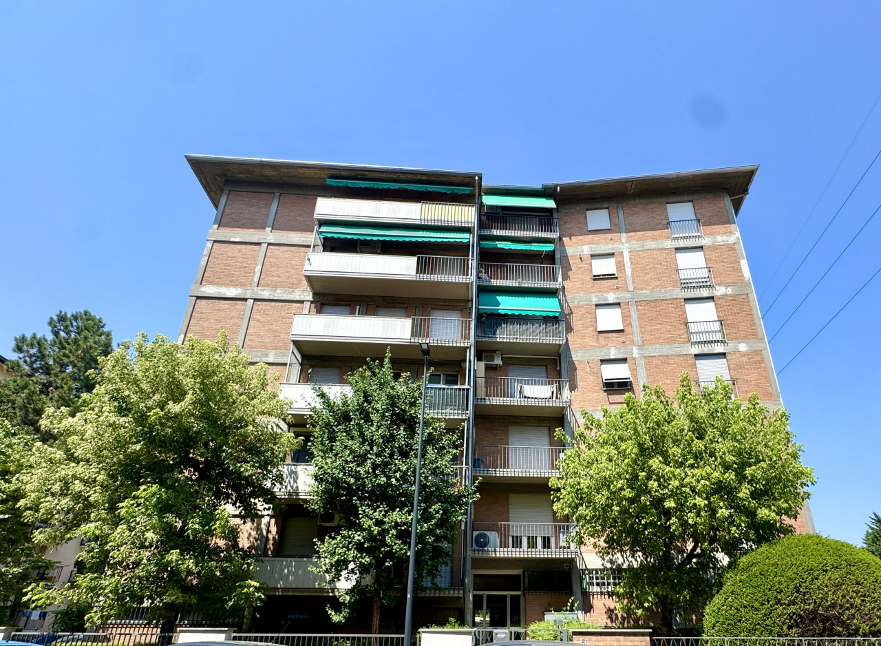 immagine annuncio 11 di 14