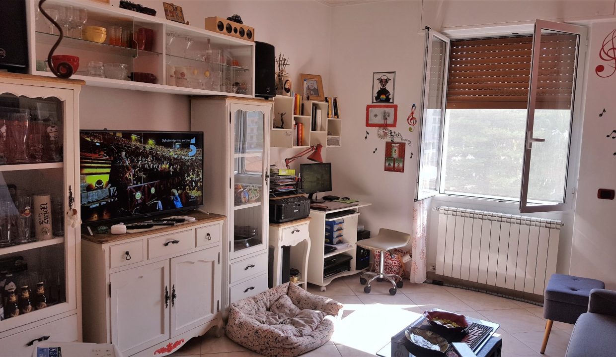 immagine annuncio 5 di 14