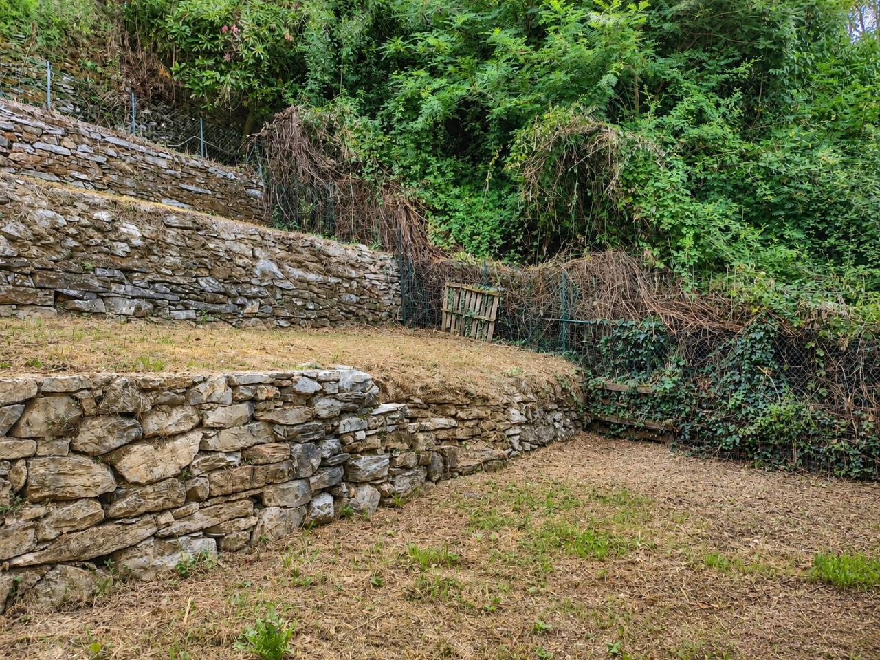 immagine annuncio 9 di 12