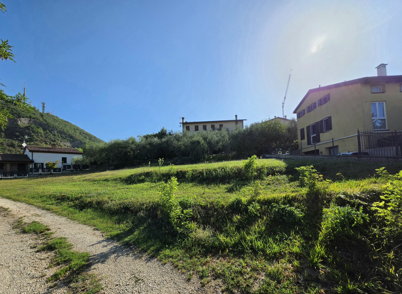 immagine annuncio 2 di 4