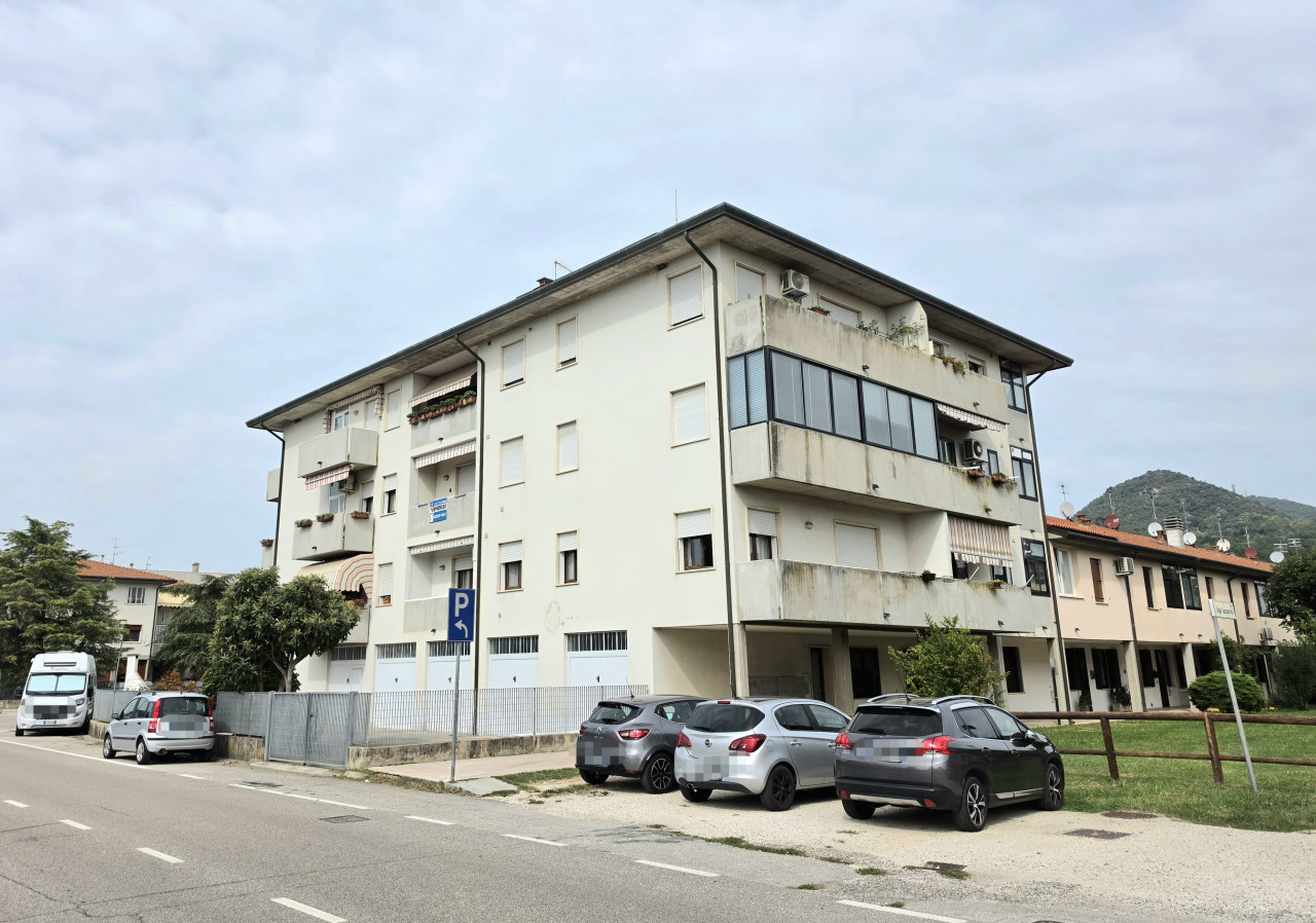 immagine annuncio 12 di 13