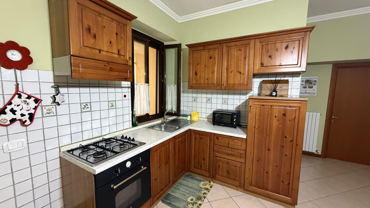 immagine annuncio 1 di 14