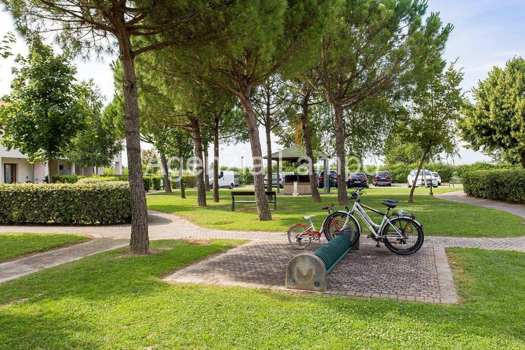 immagine annuncio 11 di 14